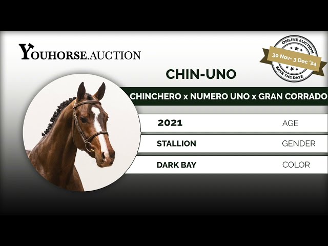 Chin-Uno without steel shoes