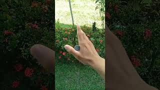 Tutorial de mágica Incrível com moeda #shorts #cardtricks #magic #magiccards #magician