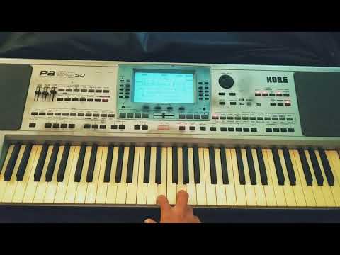 Haciendo feo/ Bertin y su condesa/ Teclado Tutorial/ Korg Pa50