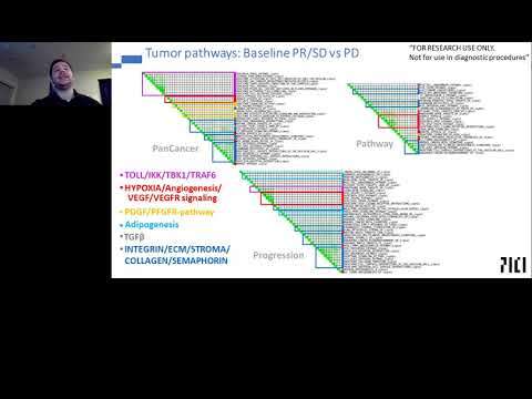 Molecular and Immunologic Profiling of CD8 T Cell Responses in Patients