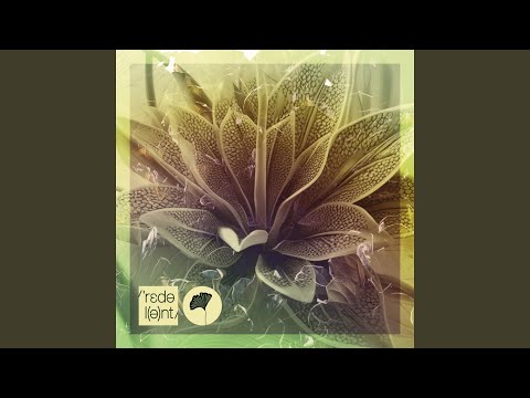 Outra Vez (Dimo (BG) Remix)