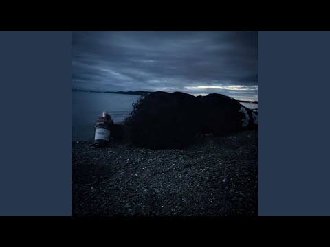 farewell cruel world i wont miss you