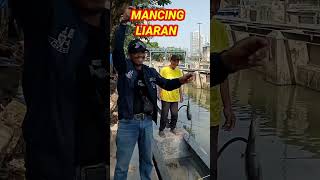 Download lagu Mancing Gratis‼️Masih strike Full Senyum #galatama_lele #mancingmania #shorts mp3