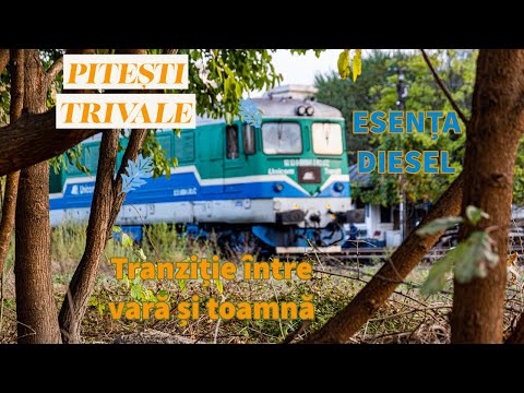 Trenuri in Pitesti la tranzitia dintre vara si toamna + BONUS Padurea Trivale