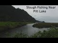 Video Thumbnail for Slough Fishing Near Pitt Lake