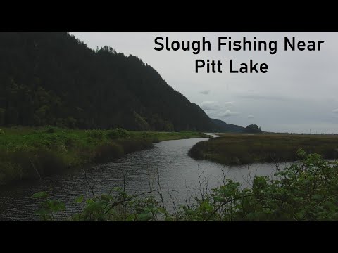 Slough Fishing Near Pitt Lake
