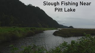 Slough Fishing Near Pitt Lake