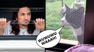 [問卦] 喵喵唱歌真的都好聽嗎?