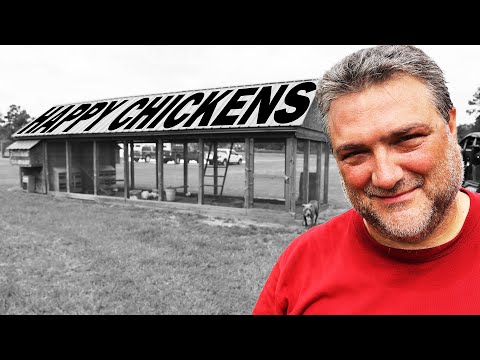 CHICKEN BROODER AND GROW OUT COOP - The love shack and  chick nursery