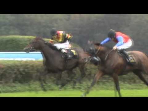 Rennbahn Hoppegarten Impressionen