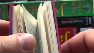 США 550: Малая Земля - дежавю в микро-формате на русском и молдавском языках