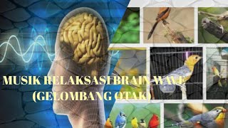 Download lagu Musik Relaksasi Terapi gelombang otak biar gacor semua jenis burung #brainwaves mp3 Download lagu Musik Relaksasi Terapi gelombang otak biar gacor semua jenis burung #brainwaves mp3
