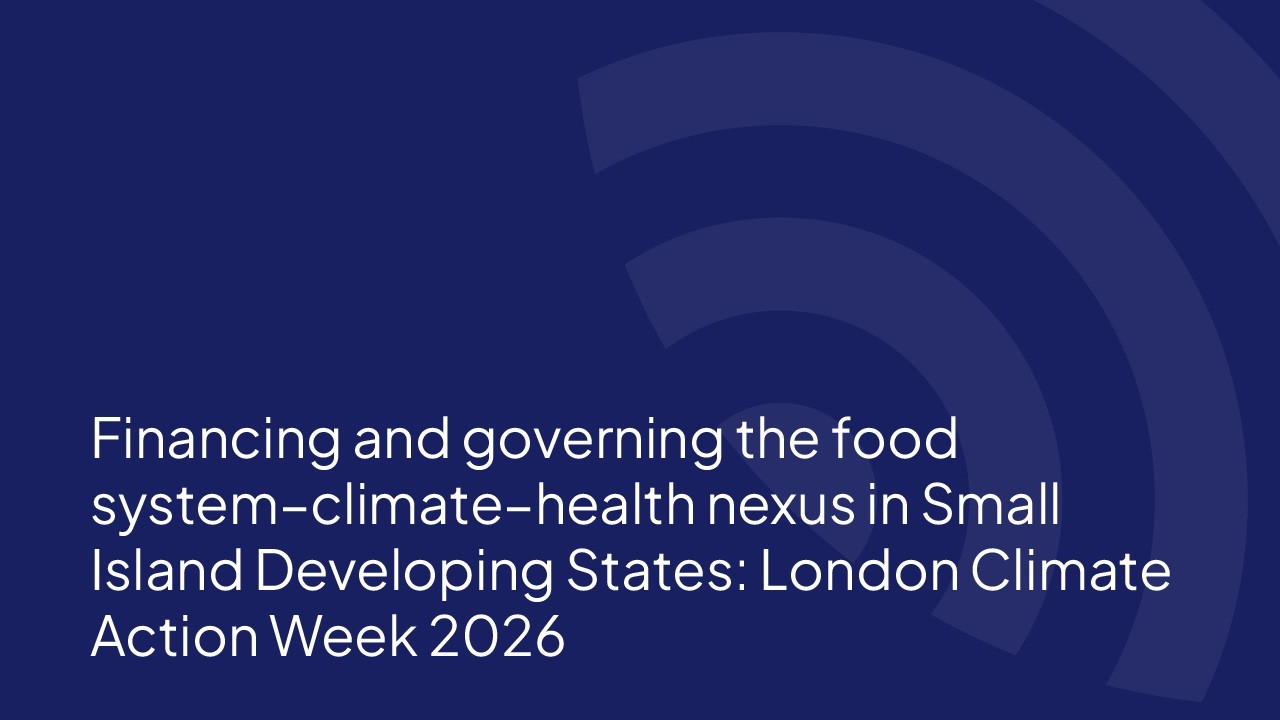 Financing and governing the food system–climate–health nexus in Small Island Developing States