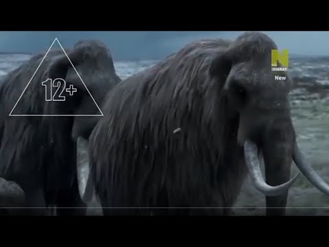 Клонирование мамонта  |  Документальный фильм