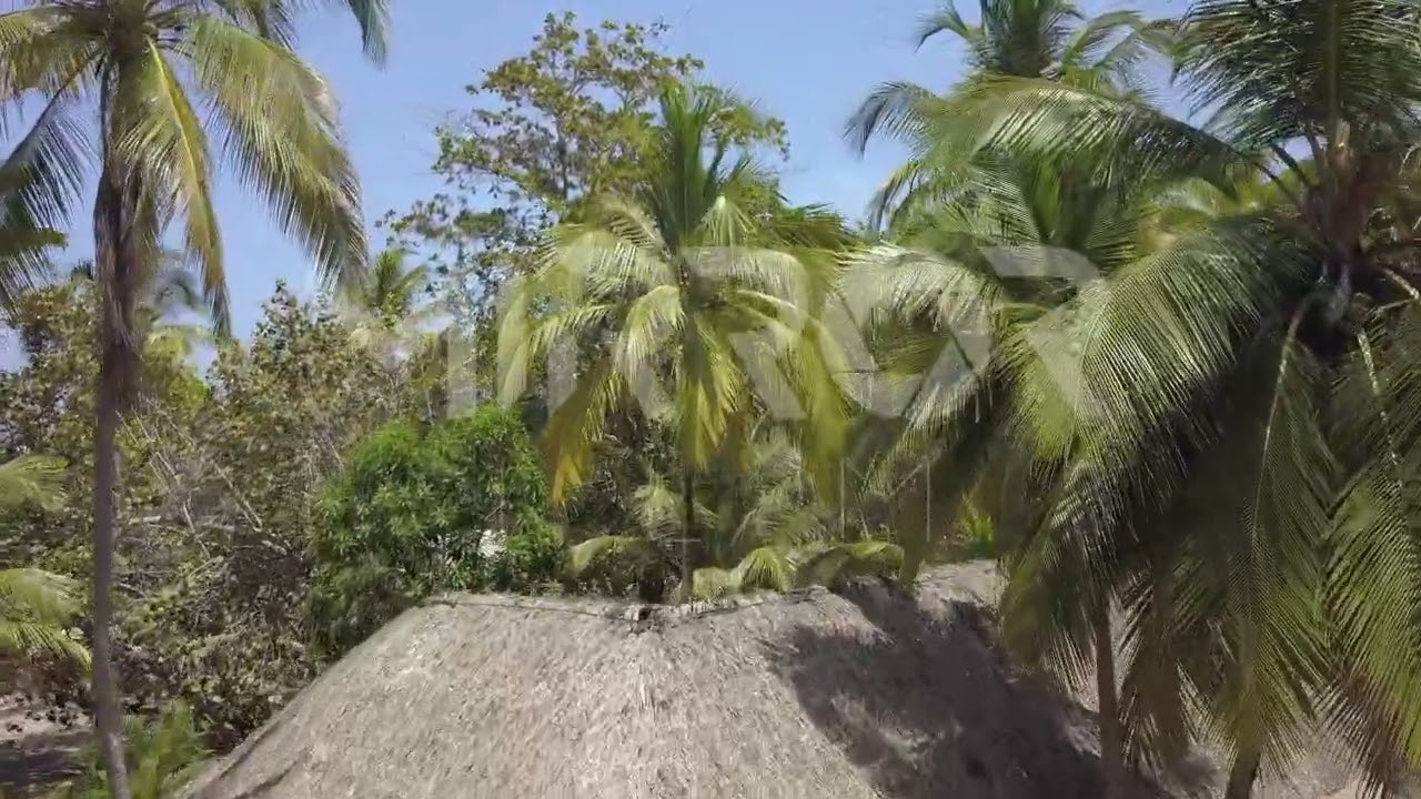 Ecoturismo en la playa
