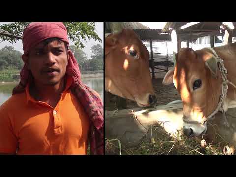 লাইভস্টোক ডায়েরী মোবিইল এপ