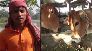 লাইভস্টক ডায়েরি