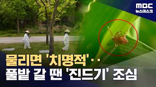 봄철 '살인 진드기' 주의‥올해 첫 환자 발생 (2026.04.25/뉴스데스크/MBC)