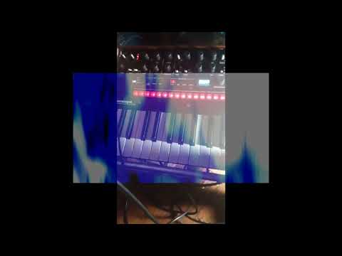 Korg Monologue, Behringer TD-3-RD  (x3), Behringer RD-6-TG. Novation AFX Station