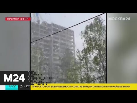 В столичный регион придет похолодание - Москва 24