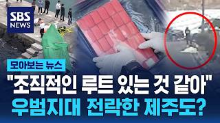 "조직적인 루트 있는 것 같아"..우범지대 전락한 제주도? / SBS / 모아보는 뉴스