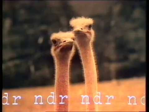 NDR Ansage mit Hanni Vanhaiden (1979)