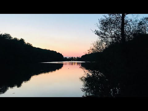 A stroll around Newmillerdam wakefield