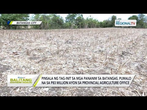 Balitang Southern Tagalog: Pinsala ng tag-init sa mga pananim sa Batangas, pumalo na sa P83 million