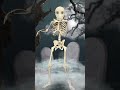 Bhoot Dance