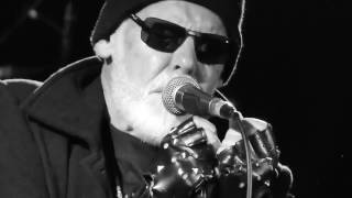 BUFFALO  REVISITED  -   &quot; Freedom &quot;   (2016)