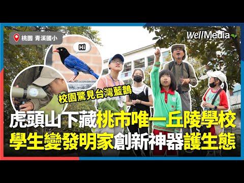 藍鵲、五色鳥現蹤！桃市唯一丘陵學校成自然庇護所，學生發明神器守護黑水虻、自製動畫替路殺鳥發聲，創新生態教育引關注 #桃園青溪國小【Well Talk】