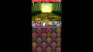 【パズドラ】5100万DL記念杯113,152点／0.1%【ランダン】