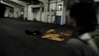 Starfield in Scotland  - 2006