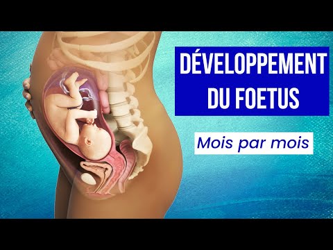 LA GROSSESSE : Le Développement du Foetus Mois par Mois