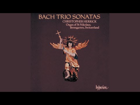 J.S. Bach: Organ (Trio) Sonata No. 1 in E-Flat Major, BWV 525: II. Adagio