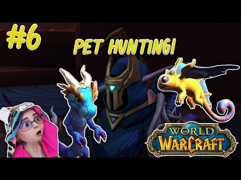 World of Warcraft, lets catch all Northrend pets! #6