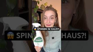 Spinnen im Haus? 🕷️ So einfach kannst du Spinnen aus deiner Wohnung fernhalten! 🏡