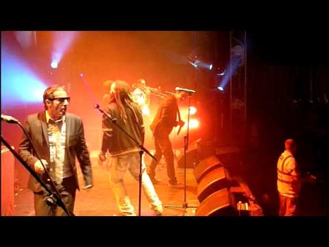 DUB PISTOLS featuring RED STAR LION  LIVE at WOMAD