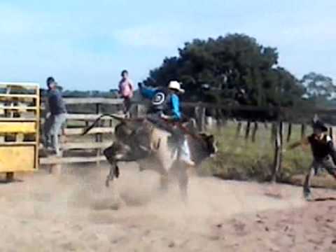 lindoval costa x filho da mafia