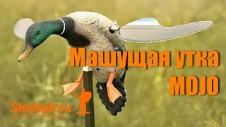 Утки для приманки