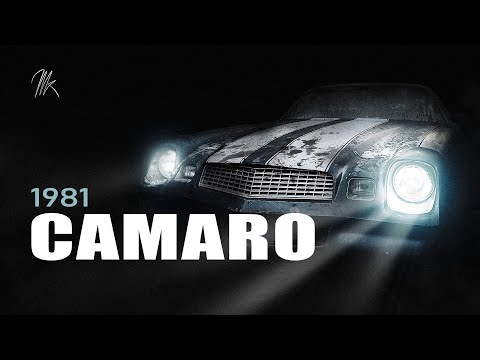 first wash in 21 years 1981 Camaro