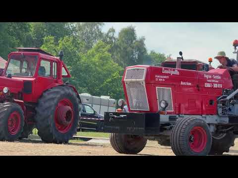 Trecker Treck Banzkow 2022 "Lewitzbulle ZT300D"