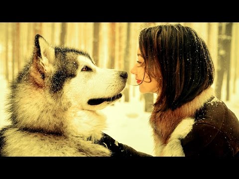 download lagu mp3 mp4 Frank Duval Spuren, download mp3 Frank Duval Spuren free download mp3, download mp3 Frank Duval Spuren