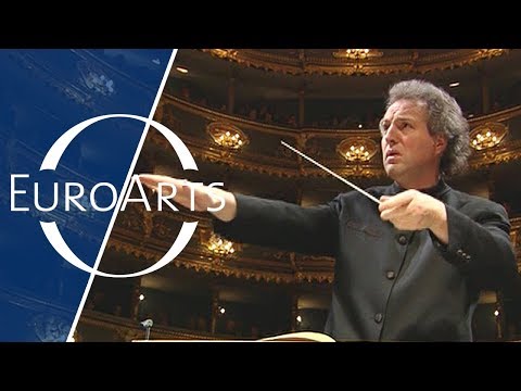Mozart - Symphony No. 38 in D major "Prague” K.504 | Mozart from Prague