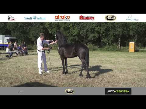 Baan 1 | Fokdag Ta it Bihâld | 23 Juli 2022