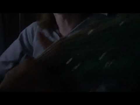 Watching Dogs Is Pretty Great - UnlawfulPet