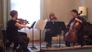 Mozart String Quartet 13 in D minor K 173
