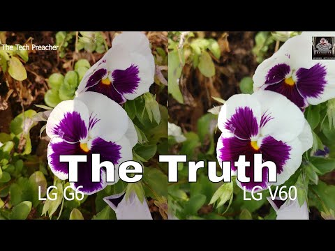 LG V60 Vs Lg G6 Camera Comparison | Old Vs New | How As It Age !!!