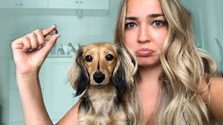STELLA'S NAIL FELL OFF (her first walk since the injury)