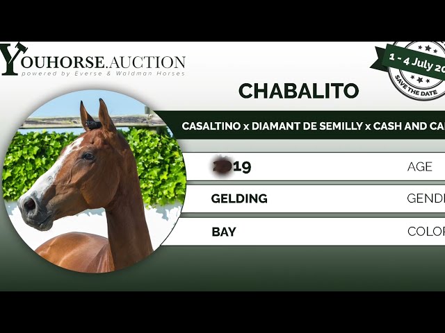 Chabalito